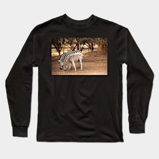 Zebras Long Sleeve T-Shirt